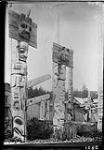 Totem poles at Gold Harbour, Queen Charlotte Islands, B.C. 1912