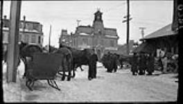 Horse market. 4 Mar. 1914