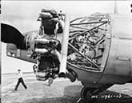 [Port engine of Avro 'Anson' I aircraft W2419 of the R.C.A.F., Rockcliffe, Ont., ca. 25 October 1941.]. ca. 25 Oct. 1941