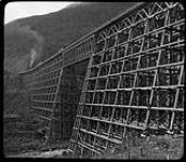 Bridge over Mountain Creek, British Columbia 1885-1900 [ca. 1885-1900].