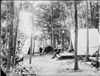 Indian camp in Royal Muskoka Woods, [near] Lake Rosseau, Muskoka Lakes, Ont. c. 1904