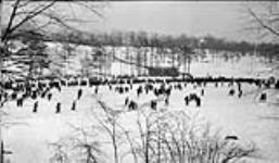 Skating on Grenadier Pond, [Toronto, Ont.], Sunday 28 Jan., 1917.