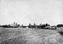 Prokop Kindrachuk threshing on his farm 1916