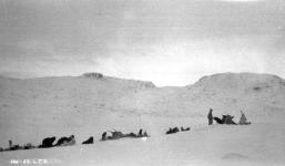 Caribou hunt, Kingua. October 1923.