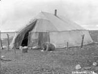 [Inuit camp on the southeast coast of Hudson Bay] Original title: Eskimo camp, S.E. Coast of Hudson Bay. September 1927.