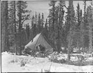 Dempsey camp at the eastern base of Ninishith hill southwest of Sucker Creek. 3 April 1933