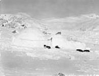 Moosa's igloo, Research Station. March 1931.