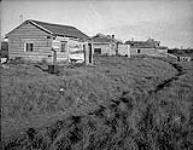 Indian cabins on north shore across from Aklavik, N.W.T ca. 1945