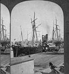 Shipping - Harbour of Montreal. [1880]