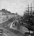 Harbour. 1875