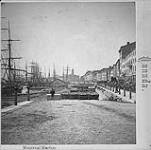 Montreal Harbour. [1875]