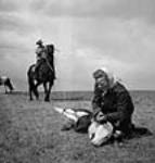 Roping calves, Eugene Burton's V-Bar-T cattle ranch. 1944