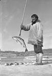 David Igutsaq, fish spearing. 1951.