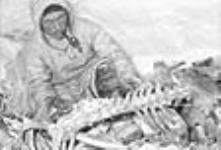 [Piqanaaq dépeçant un morceau de viande caribou. Il était le père d'Helen. La photographie a été prise lorsque Piganaaq chassait le renard dans un camp à Akuniyuaq.] (1949-50)