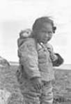 Inuk girl [identified as Eunice Neemee Ochokpaut Anaija / legal name is Eunice Nimiqraqruaq Ochakpaut Nuliayuk] carrying a puppy in the hood of her parka  1951.