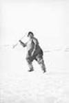 Inuit preparing to throw spear 1951.