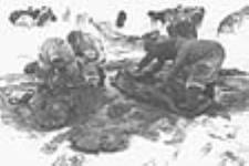 [Kuuttirq, Ikummaq and Michell Kopak chassent au morse.] 1952 - 1953