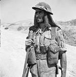 Sgt. H.E. Cooper, 48th Highlanders of Canada, Sicily, 11 August 1943. August 11, 1943.