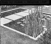 Pool designed by Claes (lantern slide copied from photomechanical reproduction, used by J. Austin Floyd to illustrate lectures) 1947