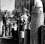 Playground equipment at Regent Park Public Housing Project, landscape design by J. Austin. 1953