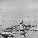 Canadian government ship D'IBERVILLE makes it way through heavy polar ice en route to Alexandra Fiord - Twin Glacier trip. Aug. 1953