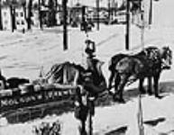 Molson's Brewery horse-drawn delivery. ca. 1935