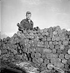 Sergeant E.F. Offord, 4th Field Regiment, Royal Canadian Artillery (R.C.A.), piling empty shell cartridges, Ossendrecht, Netherlands, 23 October 1944. October 23, 1944.