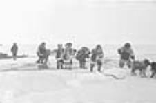 [Nutarakittuq (3rd person on right), from Qikiqtaarjuk, was married to Simigak. The other individuals were not identified. The same men hunting as in PA-144035. The clothing is from the Igloolik  region, and they are trying to cross through the cracks of ice.]. n.d.