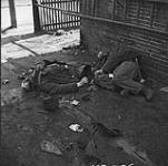 Bodies of German soldiers. 8 Apr. 1945