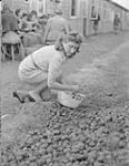 2nd Canadian Corps. Demobilization of high ranking Nazi officers and officials in internment camp. Former German Girl's Hitler Youth gathers potatoes. 8 June 1945