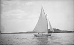 Muskoka Lakes Association Regatta, Sailing Race, Rosseau Lake, Muskoka Lakes. 2 Aug. 1909