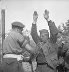 Soldats canadiens fouillant des Allemands faits prisonniers durant les premières étapes de l'opération « Totalize » 8 août 1944