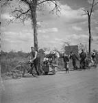 French civilians displaced from their homes by fighting. 17 Aug. 1944