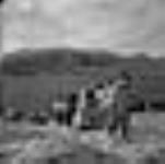 Inuites traînant un komatik chargé entre le quai et l'entrepôt de la Compagnie de la Baie d'Hudson. août 1946.