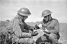 Two unidentified privates of The Edmonton Regiment priming No.36 Mills fragmentation grenades for grenade range qualifications, Shoreham, England, 26 March 1942. March 26, 1942.