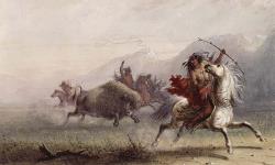 Chasse au bison. 1867