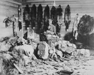 [Colin Fraser, trader at Fort Chipewyan, sorting his black fox pelts from his lot of 35,000 dollars worth of fur]. Original title: Canada's earliest Industry. Colin Fraser, trader at Fort Chipweyan, sorts fox, beaver, mink & other precious furs  [between 1890-1900]