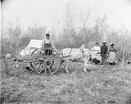 Une famille métisse à leur campement avec une charrette de la rivière Rouge au Manitoba vers 1890-1910.