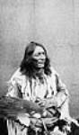 "Crowfoot", Chief of the Blackfeet Indians. 1886