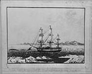 Skilful arrival at the uninhabited Island of Resolution 61.43 N. July 16, 1821 16 July, 1821.