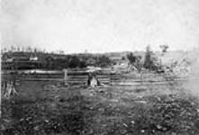 Grounds & Lumbering Mills of D. McLaughlin, M.P.P., Arnprior, Ont n.d.