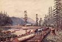 Camp de bûcherons sur l'île de Vancouver 1880-1900