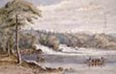 Les chutes de la rivière Grand-Mère ca. 1860-1870