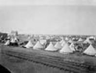 Barr colonist camp, Saskatoon Sask Apr. 1903