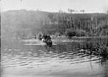 First Ford, Loon Lake, scene of "Steele's fight"   1885.