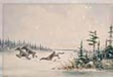 Chasse au caribou ca 1860