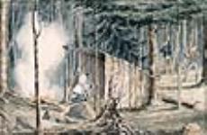 Travaux préliminaires à l'établissement d'un chemin de fer à travers le bois, au Bas-Canada ca 1836