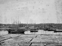 Part of sealing fleet laid up in Victoria harbour. Oct. 1891