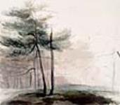 Scène non identifiée, représentant des arbres 1838