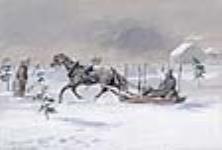 Horse-drawn Sled, Canada. 1866